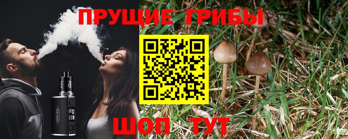 Псилоцибиновые грибы мицелий  наркошоп  Белебей  Вход с VPN 